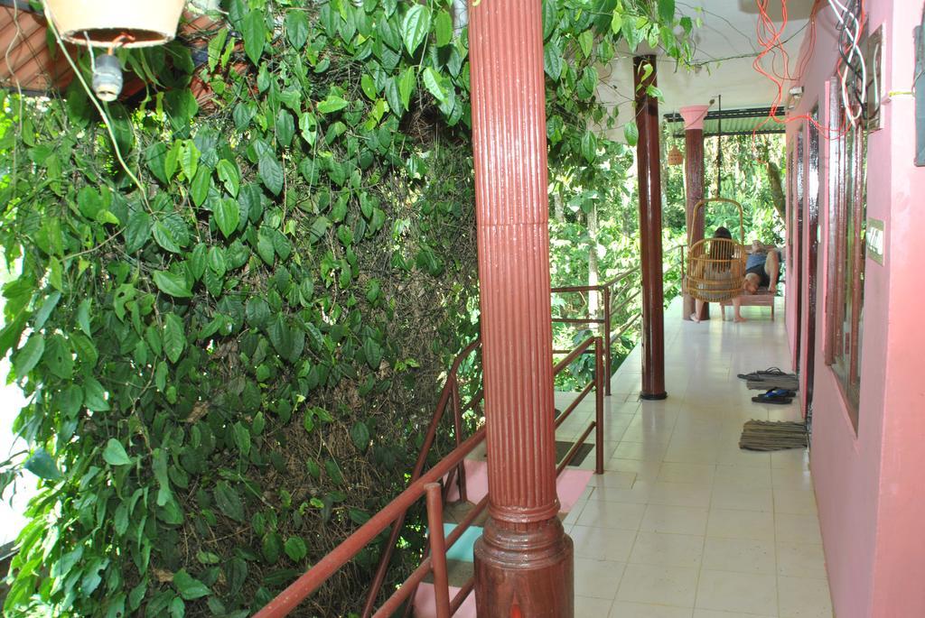 Jungleparadiso Homestay Thekkady Exterior photo